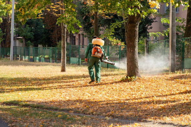 Insect Control in Noroton Heights, CT