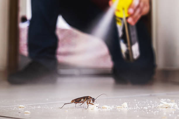 Best Cockroach Control Services  in Noroton Heights, CT