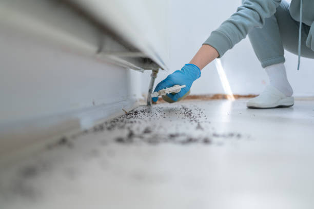 Best Commercial Pest Control Services  in Noroton Heights, CT